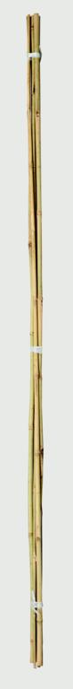 Bamboo Canes - 4' Pack 20