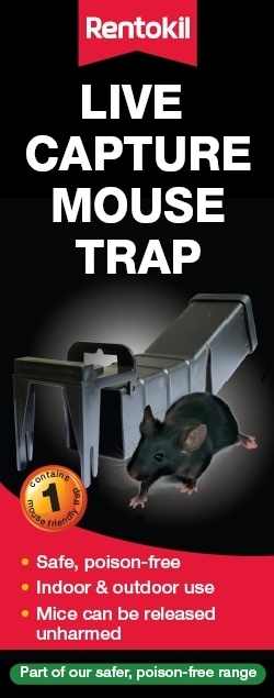 Live Capture Mouse Trap - Boxed