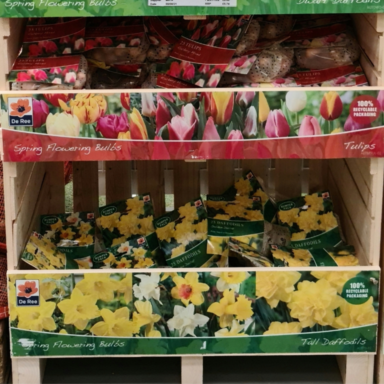 Spring Flowering-Daffodil & Tulip Crate