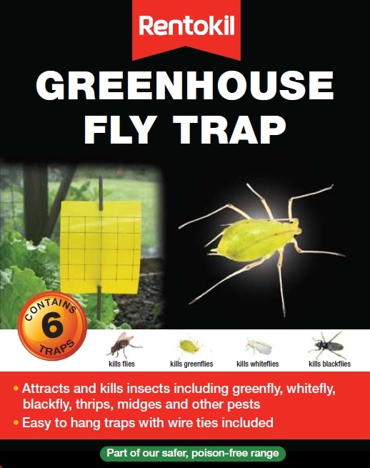 Greenhouse Fly Trap - 6 Traps