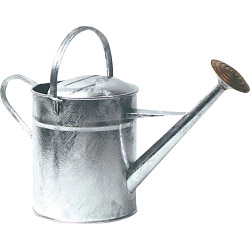 Galvanised Watering Can - 2 Gallon