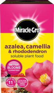 Azalea, Camellia & Rhododendron Soluble Plant Food - 500g Carton