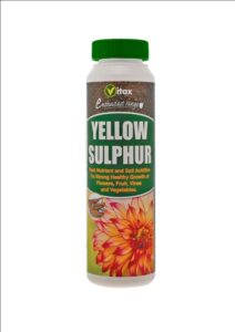 Yellow Sulphur - 225g