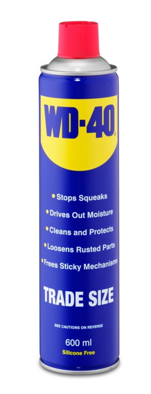 Aerosol Can - 600ml
