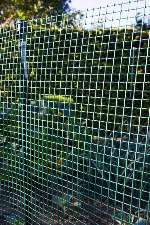 Garden Mesh - 30 x 1m