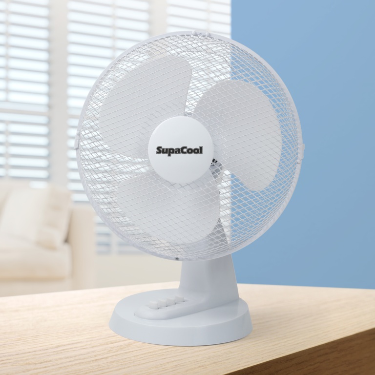 Oscillating Desk Fan - 12"