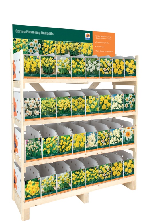 Daffodil Collection - Individual Packs