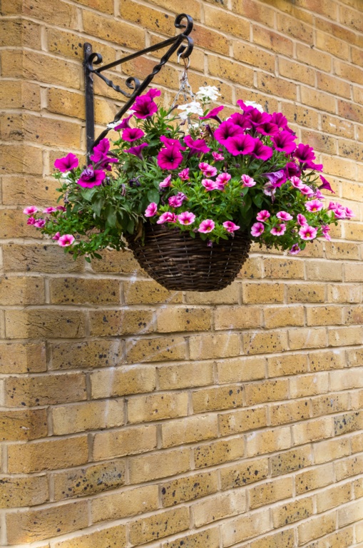 Willow Hanging Basket - 12"