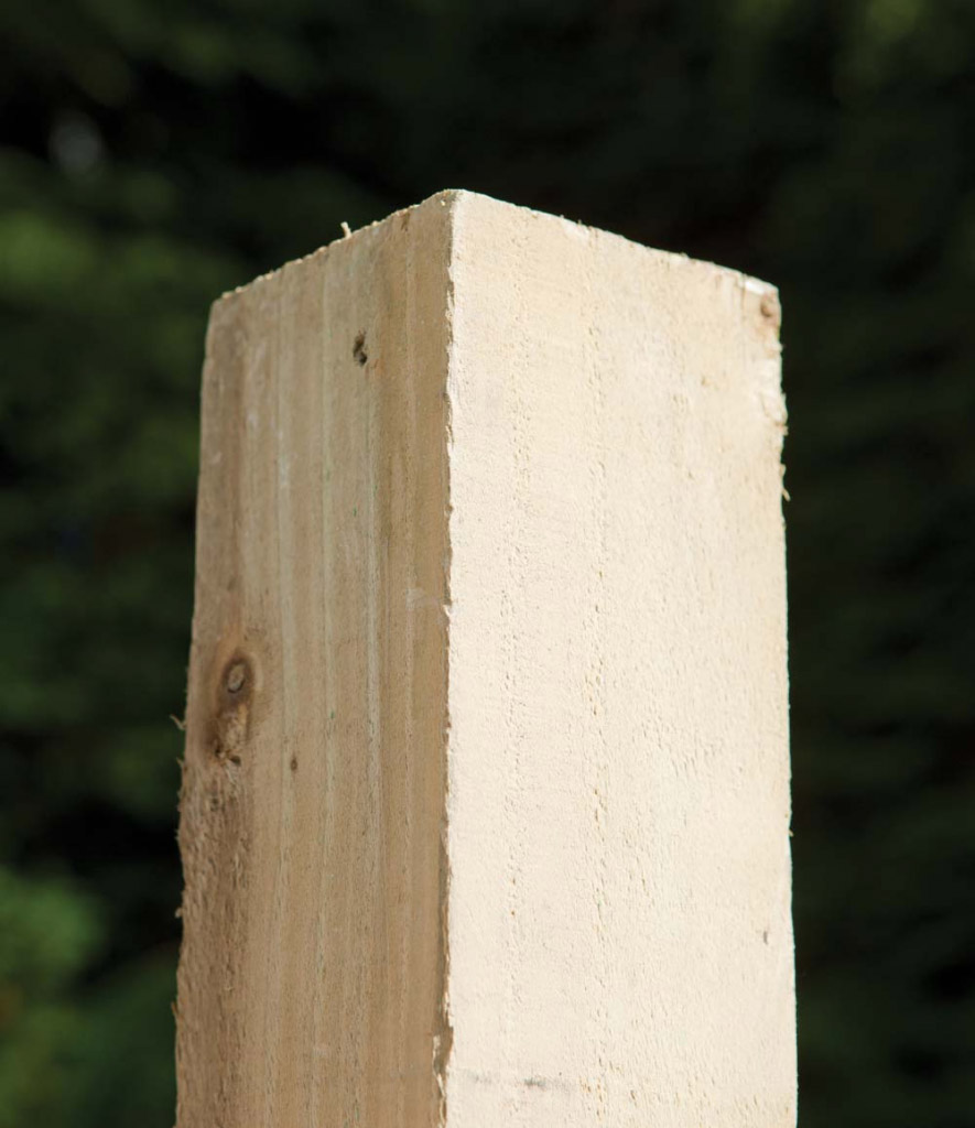 Pressure Treated Fence Post - 75mm x 75mm x 2.4m