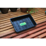 Standard Seed Tray - Black